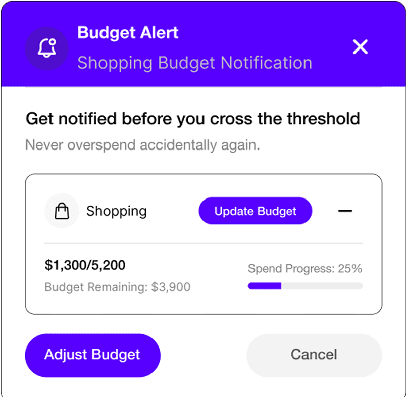 Budget Alert notification